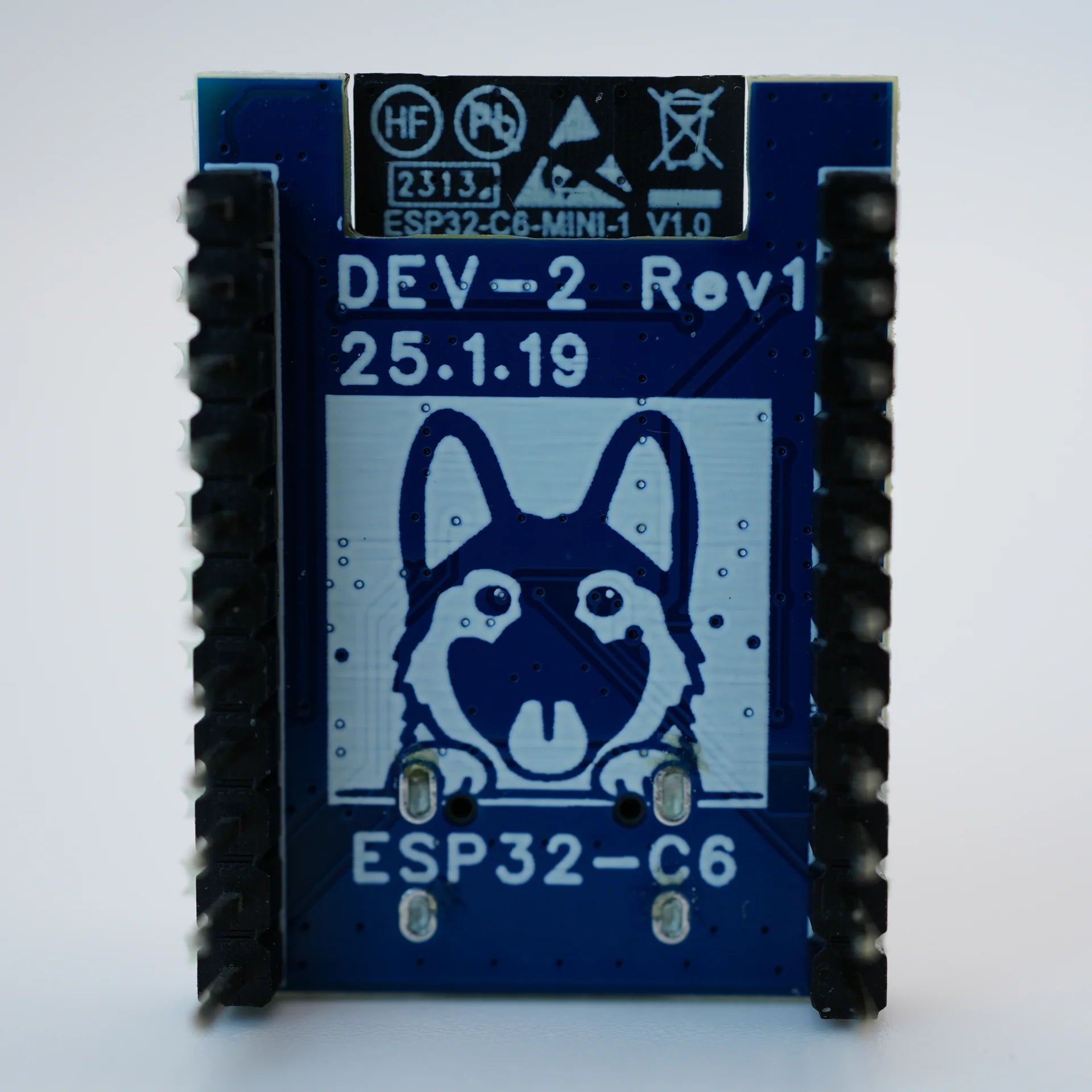 DEV-2 ESP32-C6 Development Board