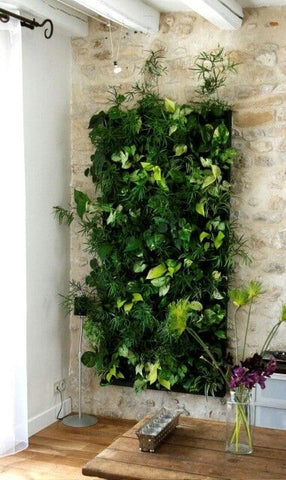 Growup vertical farming | decorative indoor green wall