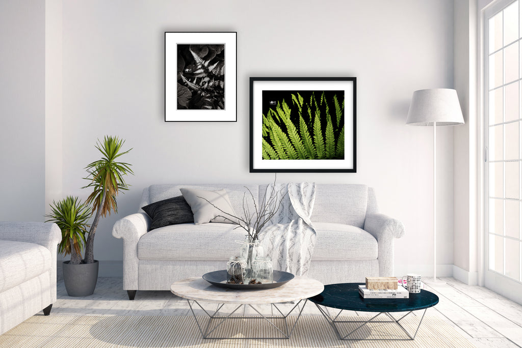 Framed photograph of green fern hung over the sofa in a neutral room decor