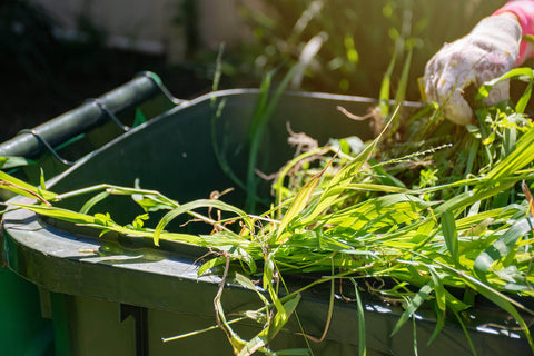 A green garden wheelie bin full of grass being held by a gloved hand