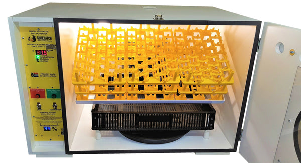 stardew incubator egg quality