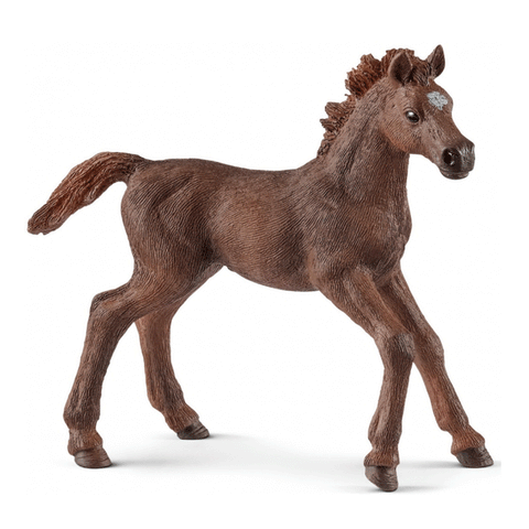 Schleich 13857 English Thoroughbred Foal  New Release 2018