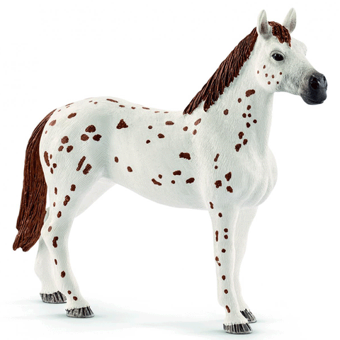 Schleich 42433 Appaloosa Training Set New Release 2018