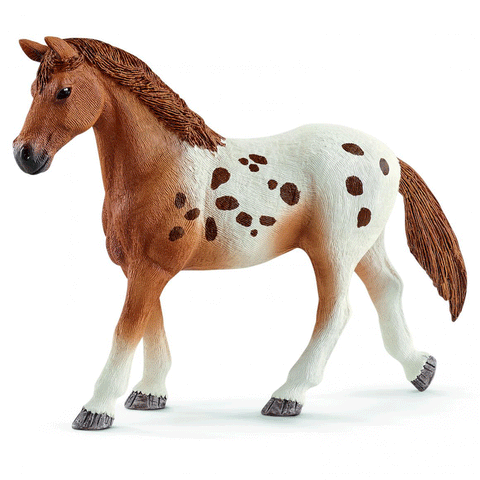 Schleich 42433 Appaloosa Training Set New Release 2018