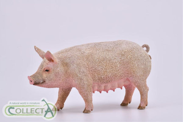 CollectA Pig Sow 88863 CollectA New Release 2019 CollectA 2019
