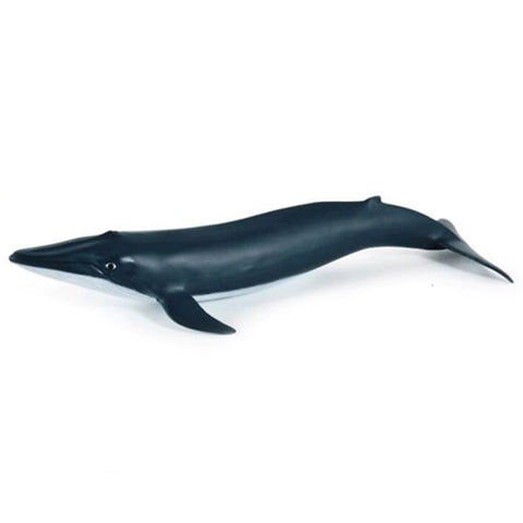 Papo Blue Whale Calf 56041 Papo New Release 2019 Papo 2019