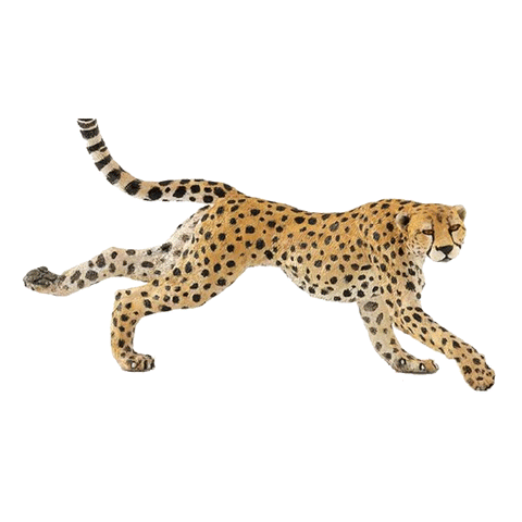 Papo Cheetah New Release 2018