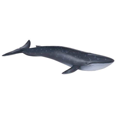 CollectA Blue Whale 88044 Retired 2018