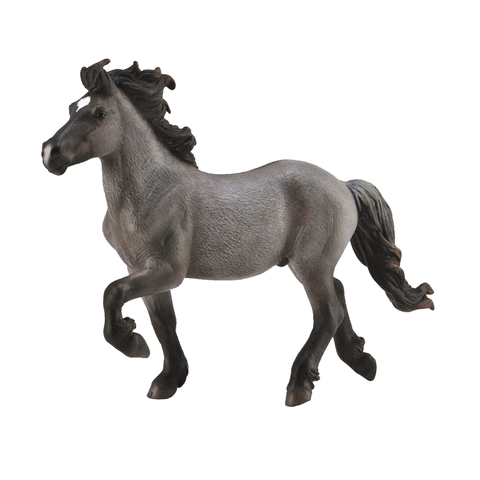 CollectA Icelandic Stallion Blue Dun 88826 New Release 2018