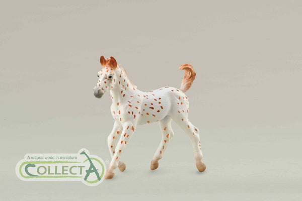 CollectA Knabtrupper foal - Leopard spotted 88848 New Release CollectA 2019