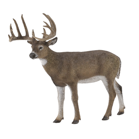 CollectA White Tailed Deer 88832 New Release 2018