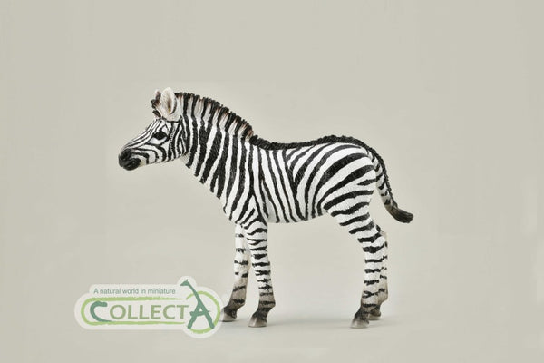 CollectA Zebra Foal 88860 New Release CollectA 2019