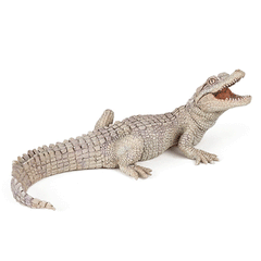 Papo Crocodile Baby White 50141