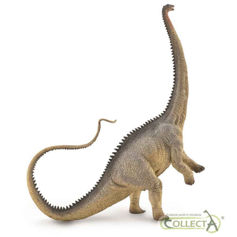 CollectA Diplodocus (Grey)