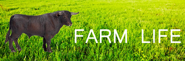 Schleich Farm Life Retired 2018