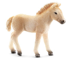 Fjord Foal