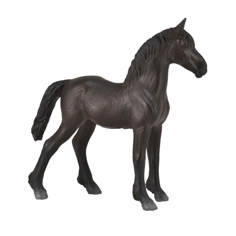 CollectA Friesian Foal - Black 88815 New Release 2018