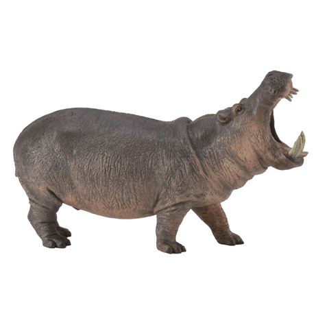  CollectA Hippopotamus 88833 New Release 2018