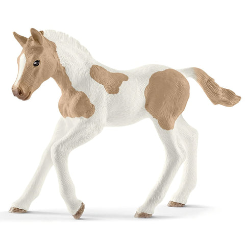 Schleich Pinto Foal 13886 New Release 2019 Schleich 2019