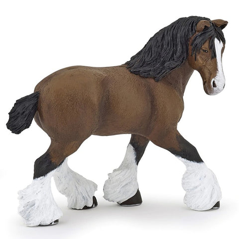 PAPO 51552 Bay shire horse mare