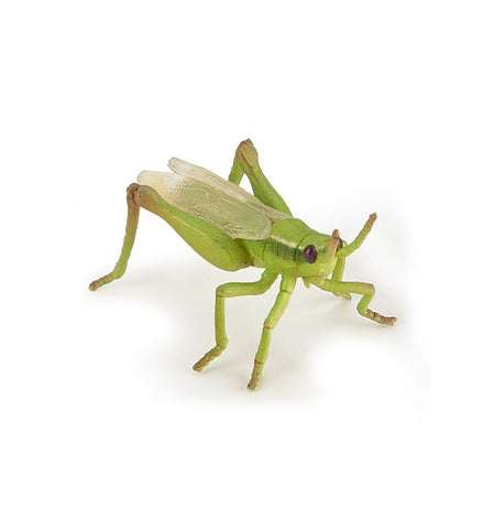 Papo Grasshopper 50268   