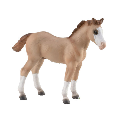 CollectA Quarter Foal - Red Dun 88814 New Release 2018