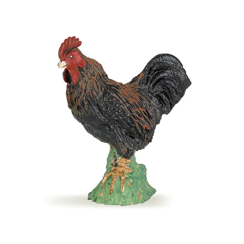 Papo Rooster 51019 Animal Kingdoms nz Papo retiring 2019 Papo Retired 2019 Papo nz