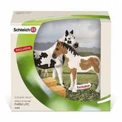  Pinto Mare & Yearling Scenery Pack  Schleich 41374  Introduced: 2014; Retired: 2014  Special Edition Yearling plus Retired 13696 Pinto  Released in Obletter Store and Müller Stores Germany