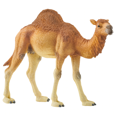 Schleich Dromedary Camel #14832