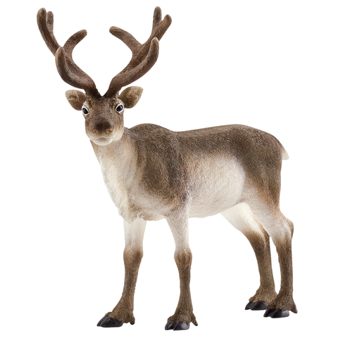 Schleich Reindeer #14837 