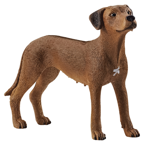 Schleich Rhodesian Ridgeback #13895 