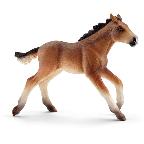 Schleich Mustang Foal 13807