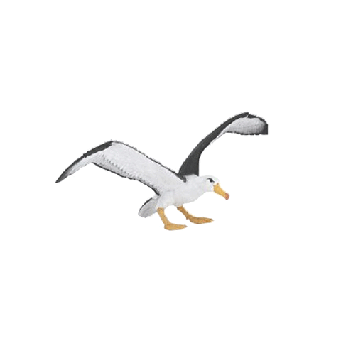 Papo Albatross New Release 2018