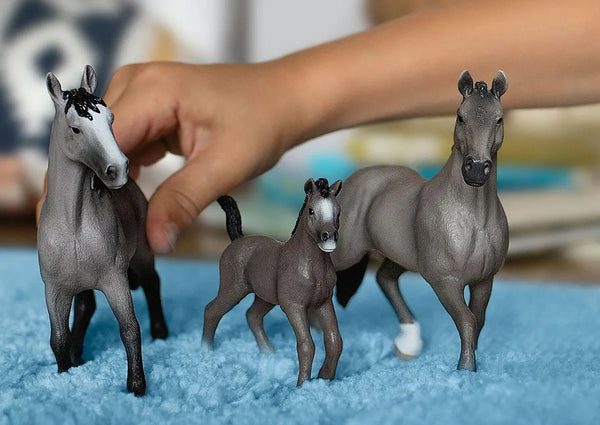 Schleich Selle Francais Family