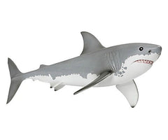 Great White Shark