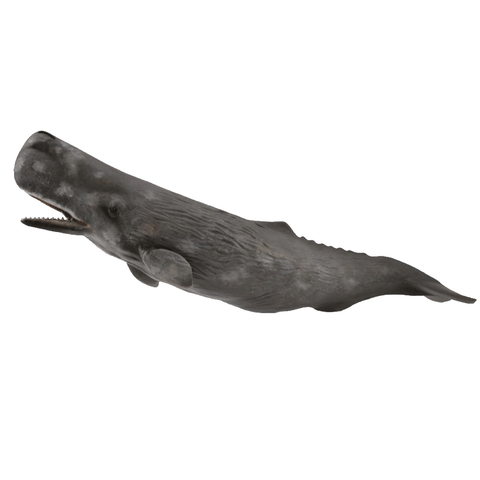 CollectA Sperm Whale 88836 New Release 2018