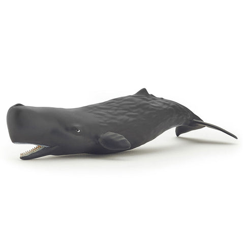 Papo Sperm Whale Calf 56045 Papo 2019 Papo new release 2019
