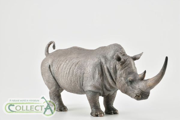 CollectA White Rhinoceros or square-lipped rhinoceros 88852 CollectA New Release 2019 CollectA 2019