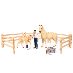 Schleich Horse Care Set Limited Edition 72119