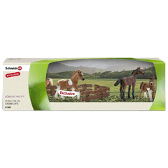  Schleich Foals and paddock Scenery Pack  Schleich 41385  Introduced: 2014; Retired: 2014   Exclusive Icelandic horse foal 13709, Shetland pony foal 13752 and Arabian thoroughbred foal 13276 and fence (6 parts of the 8-part fence 42045)  Released by ToysRus