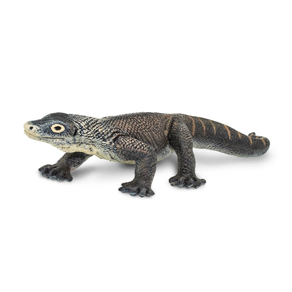 comodo dragon toy