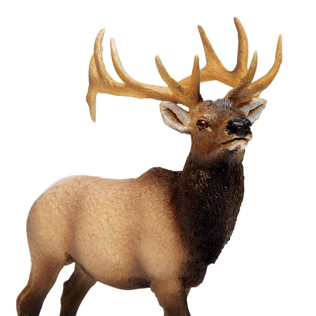 Safari Ltd Elk Bull – Animal Kingdoms Toy Store