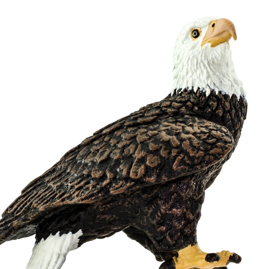 safari ltd bald eagle