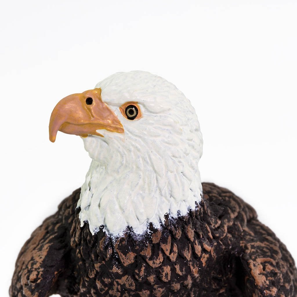 safari ltd eagle
