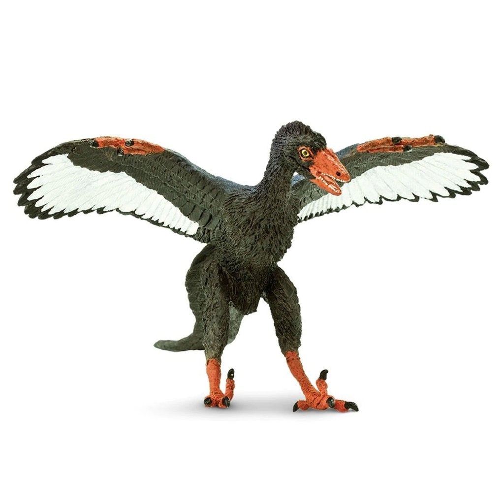 safari ltd archaeopteryx
