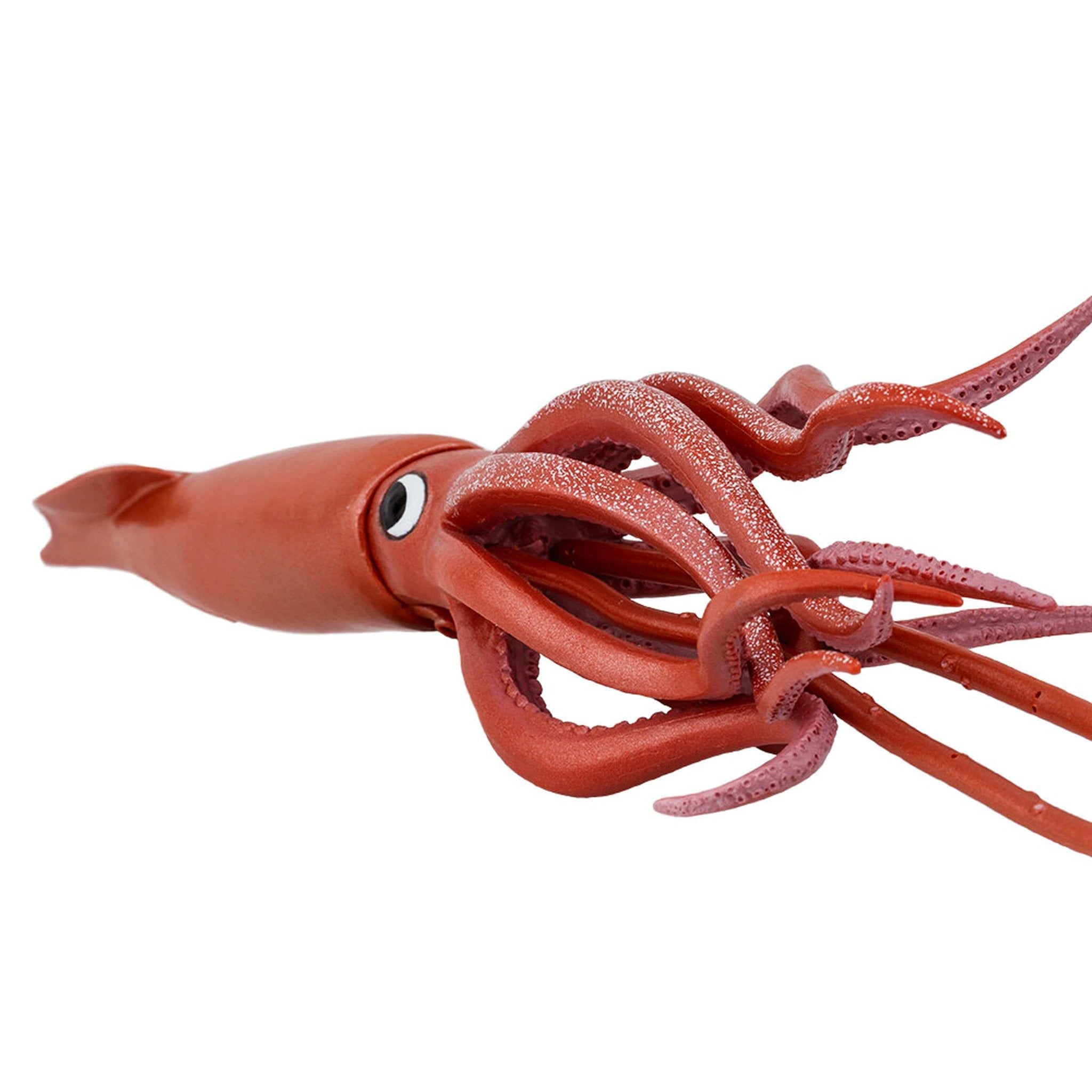 safari ltd squid