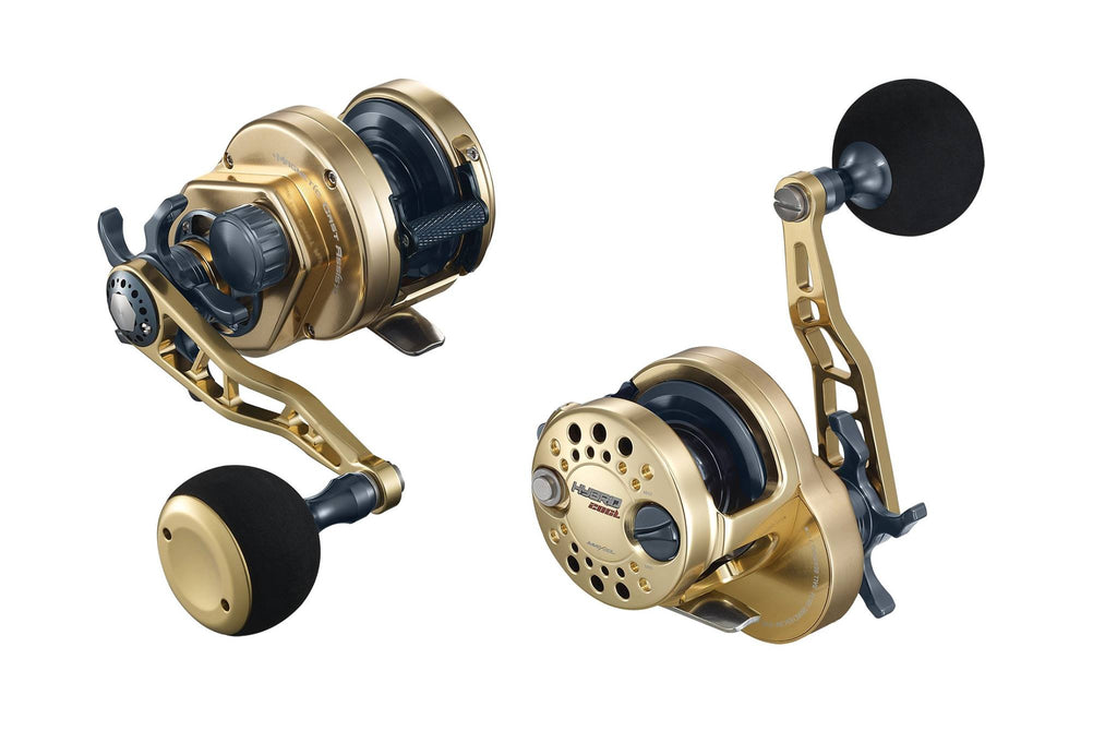 maxel hybrid reels