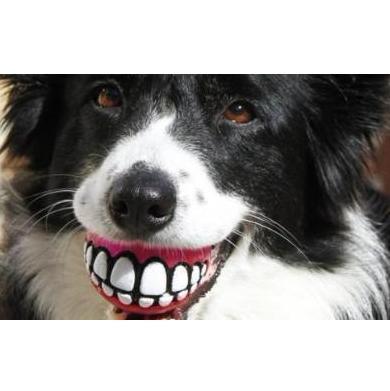 smile dog ball