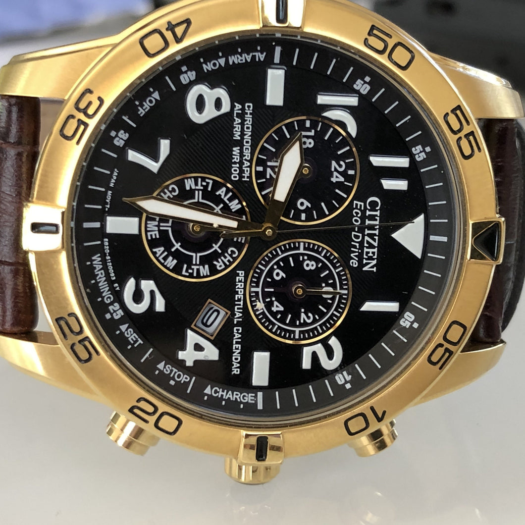 Gent's Citizen Eco-Drive Perpetual Calendar Gold Chronograph Watch E82 –  SJL Co