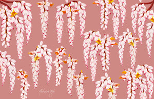 ALOHA DE MELE Pareo-Shell Ginger 23 - The Salty Babe